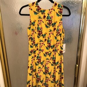 Business casual dresses